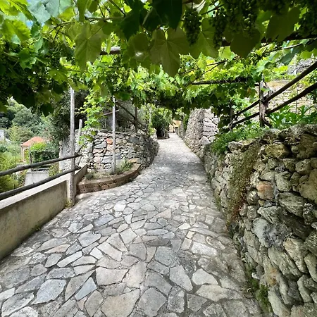 Casa Limone Appartamento *