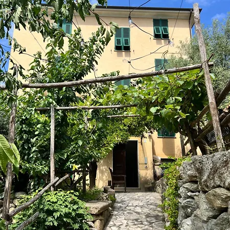 Appartamento Casa Limone *