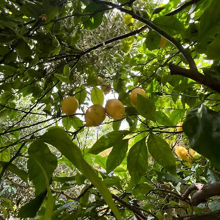 Casa Limone Appartamento *