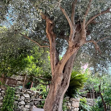 Casa Limone *